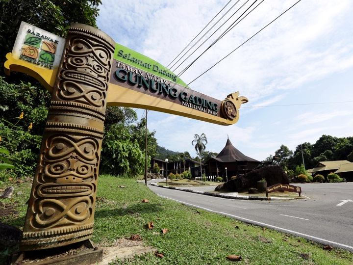 Gunung Gading National Park Day Trip